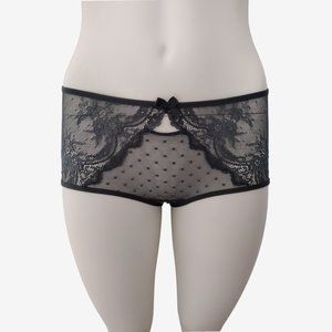 Adore Me Gray Sheer Mesh Polka Dot and Lace Hipster Panty With Cutouts S